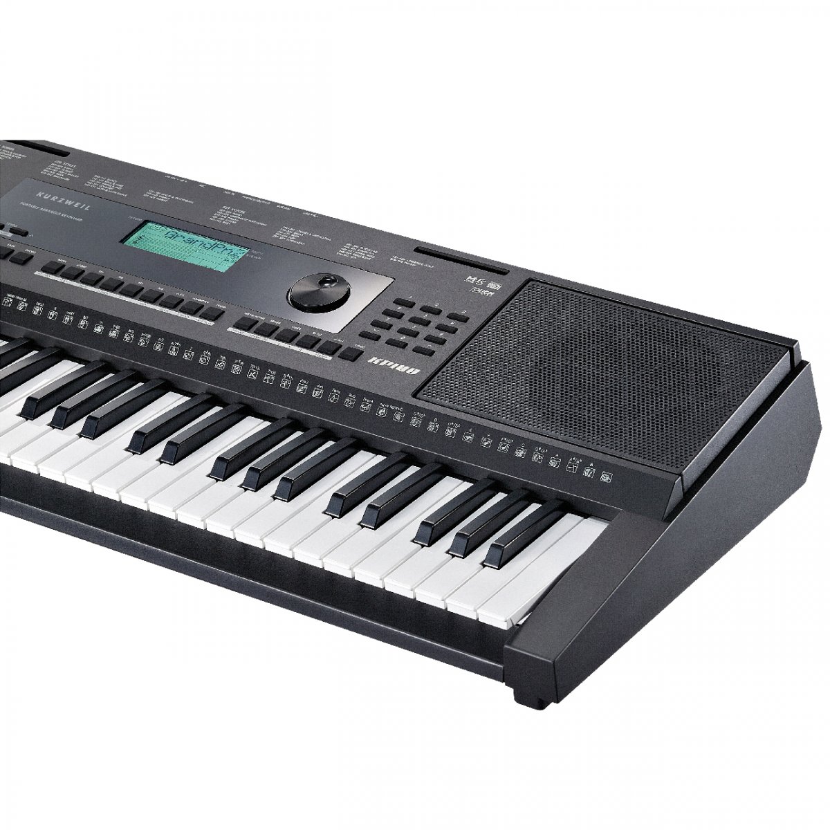 Kurzweil KP100  LB  — фото 5