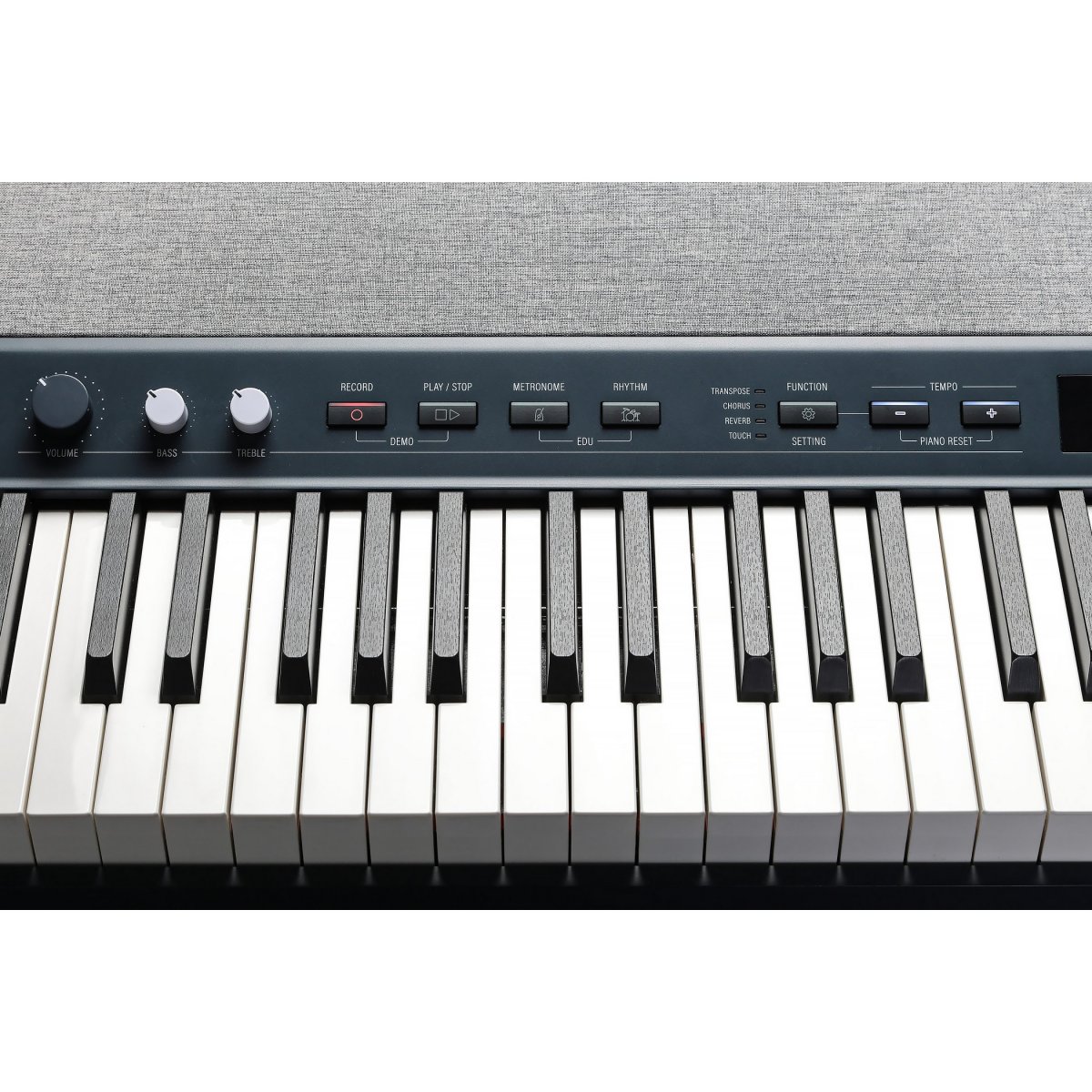 Kurzweil KA P1 LB - чёрный — фото 6