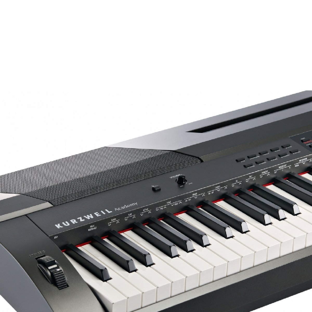 Kurzweil KA90 LB - чёрный — фото 3