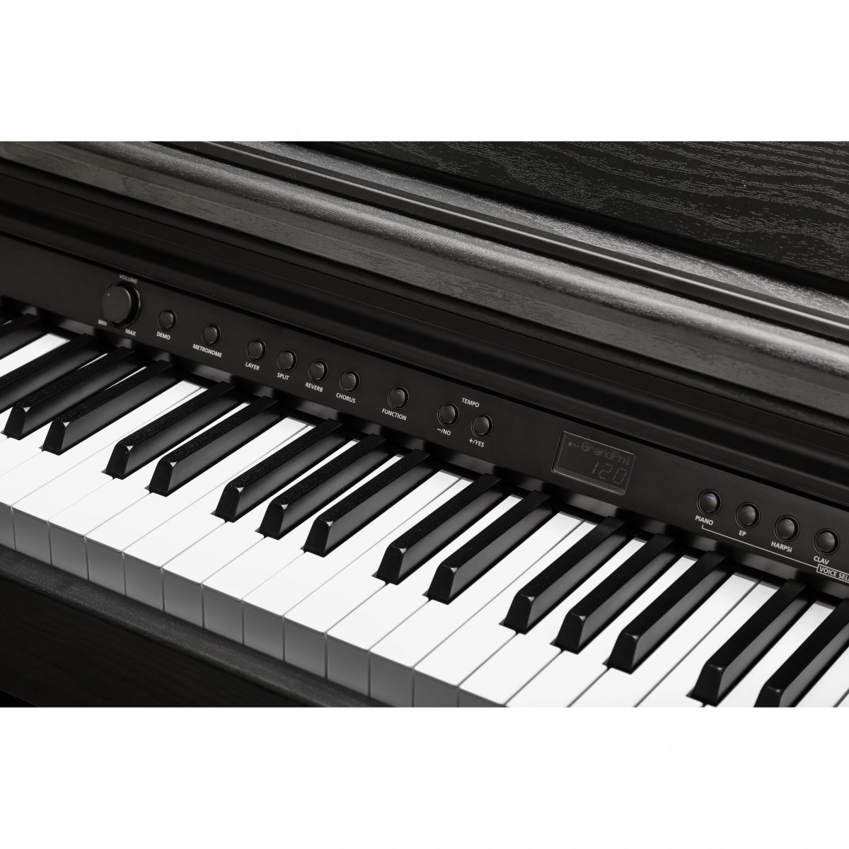 Kurzweil CUP E1 BK - чёрный — фото 8