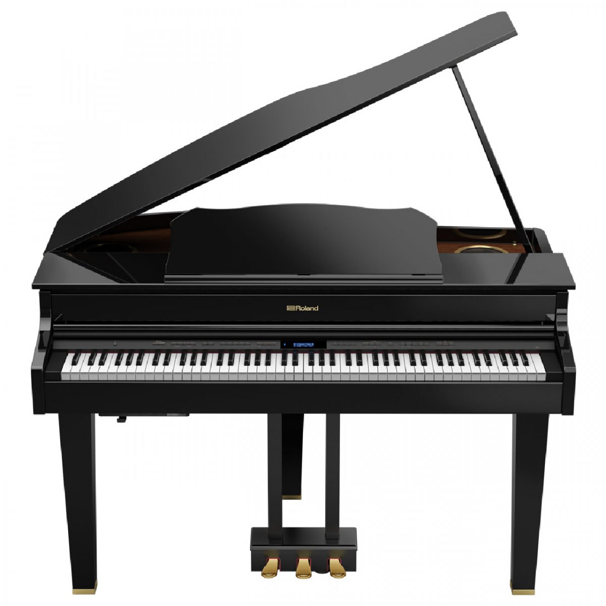 Roland GP607 PE - чёрный — фото 2