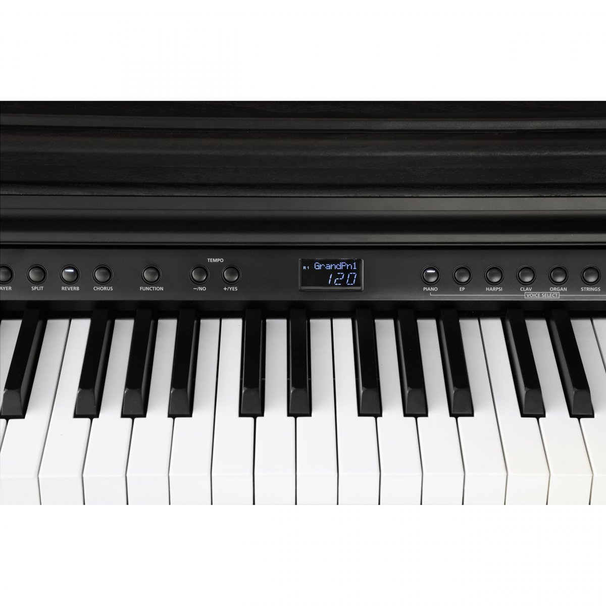 Kurzweil CUP E1 BK - чёрный — фото 7