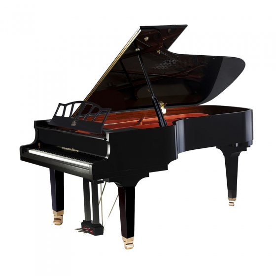 Wendl & Lung W218 BK - чёрный
