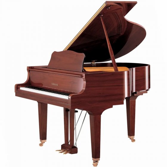 Yamaha DGB1K-ENCL PAW - американский орех полированный
