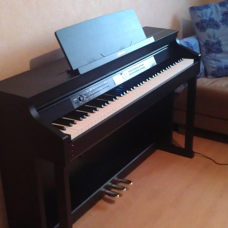 Casio AP-650