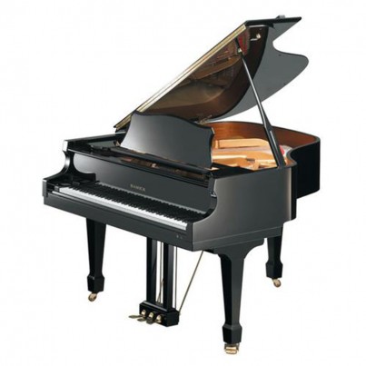 Samick NSG158D EBHP - чёрный полированный