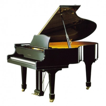 Samick NSG186D EBHP - чёрный полированный