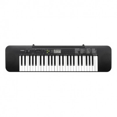 Casio CTK-245