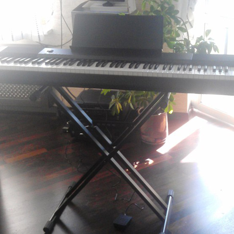Casio CDP-120