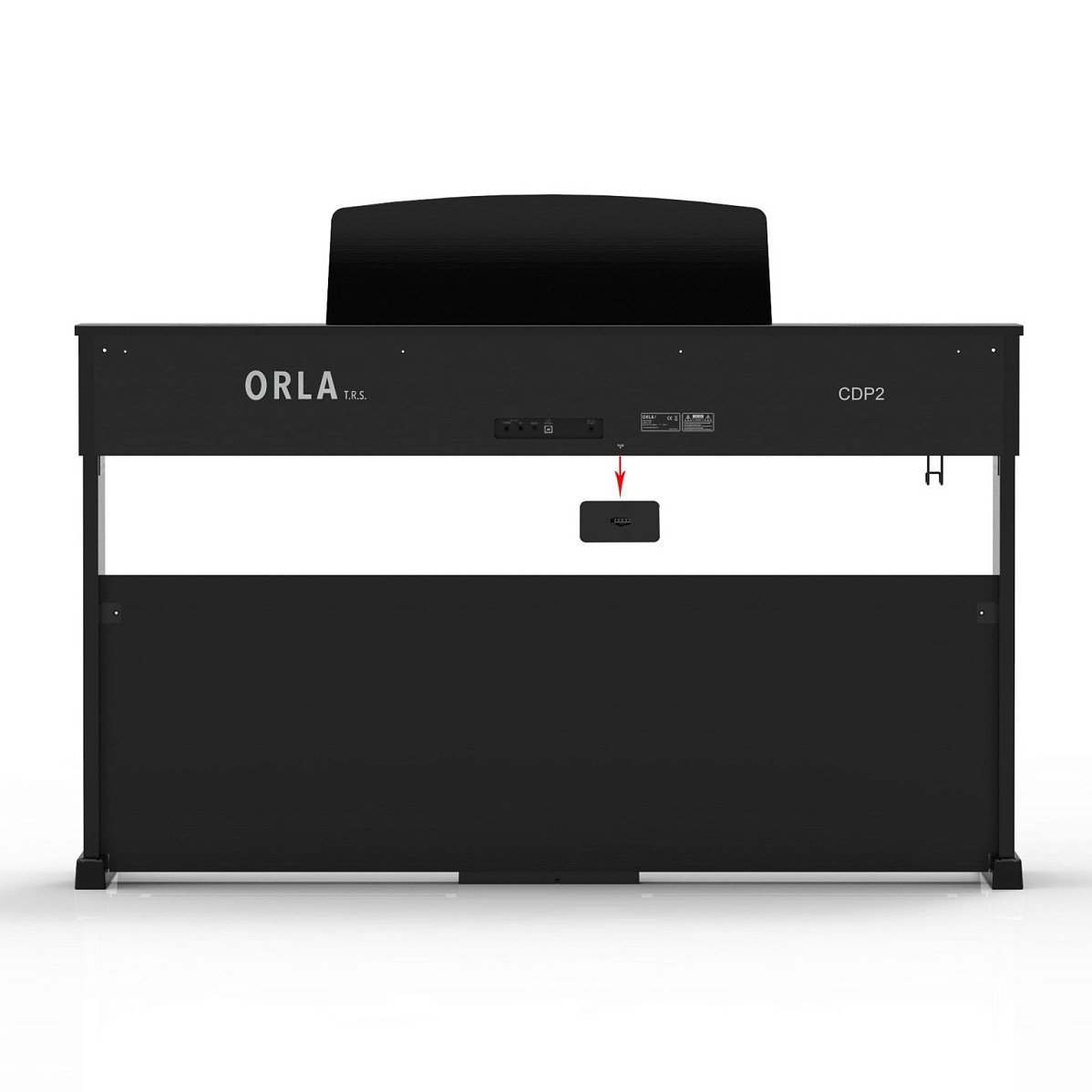 Orla CDP 2 R - палисандр — фото 4