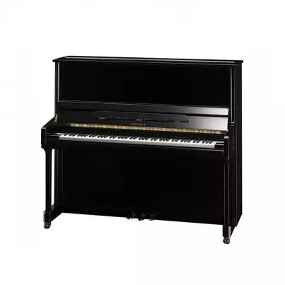Samick JS131MD EBHP - чёрный полированный — купить в Love-Piano