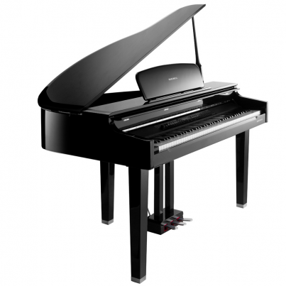 Kurzweil X-Pro MPG200 B - чёрный