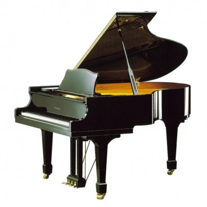 Samick NSG175D EBHP - чёрный полированный