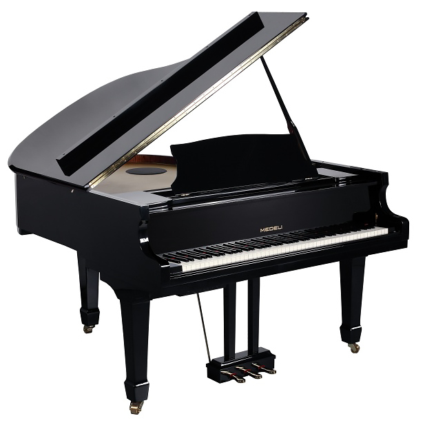 Medeli GP805