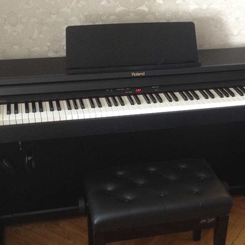 Roland RP-301 SB