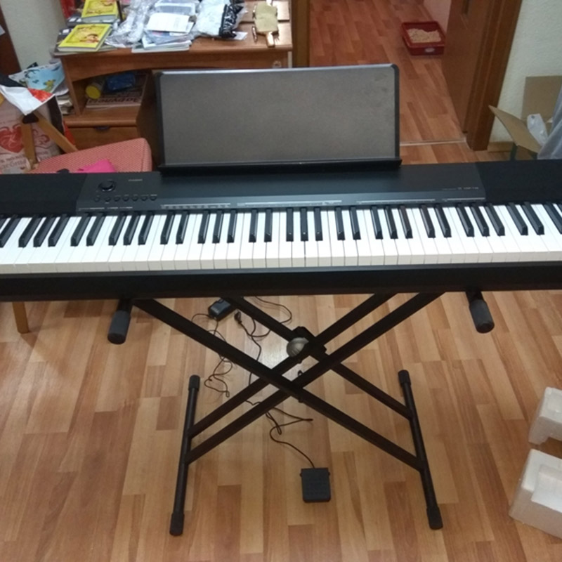 Casio CDP-130