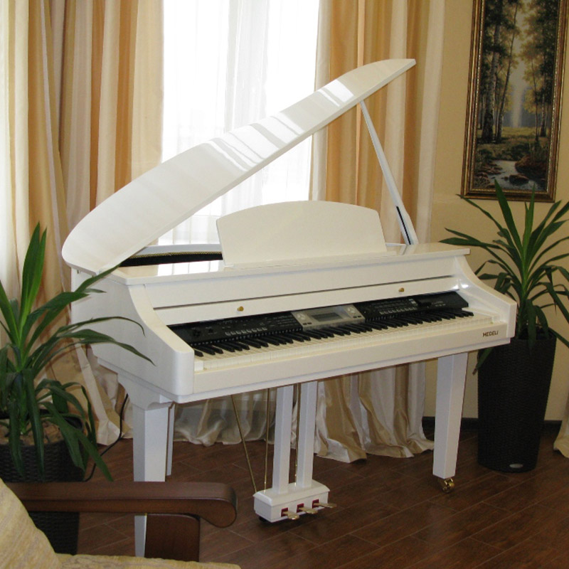Medeli GRAND500 WE