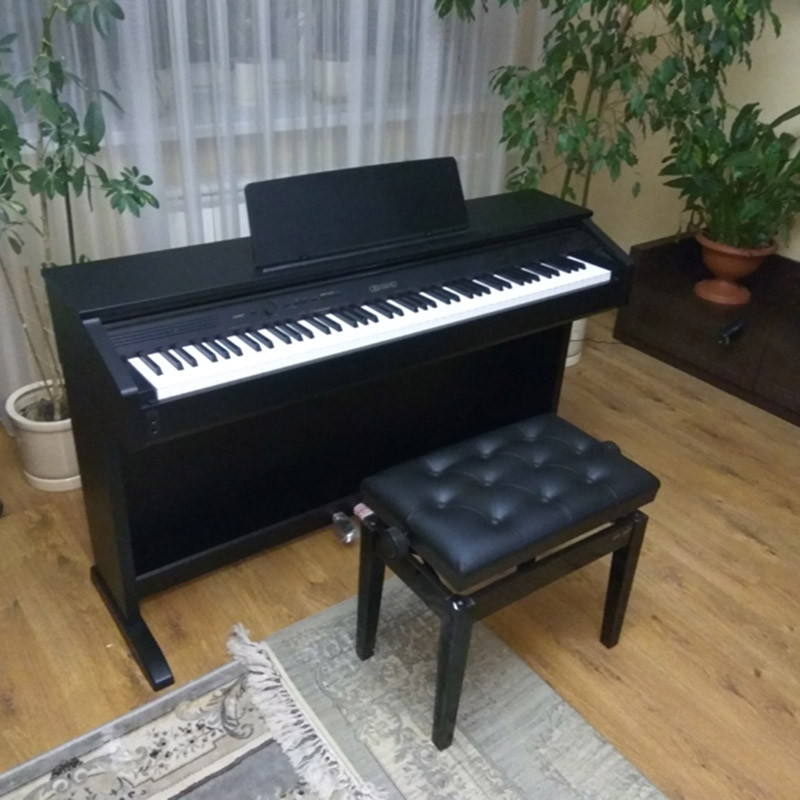 Casio AP-260