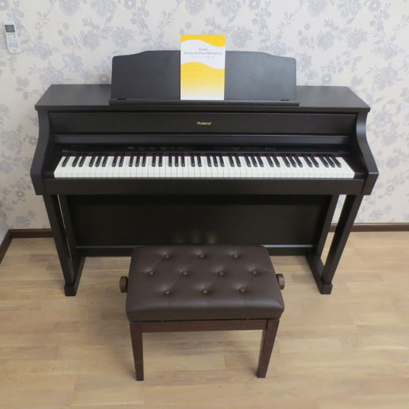 Roland HP-504