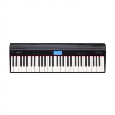 Roland GO-61P