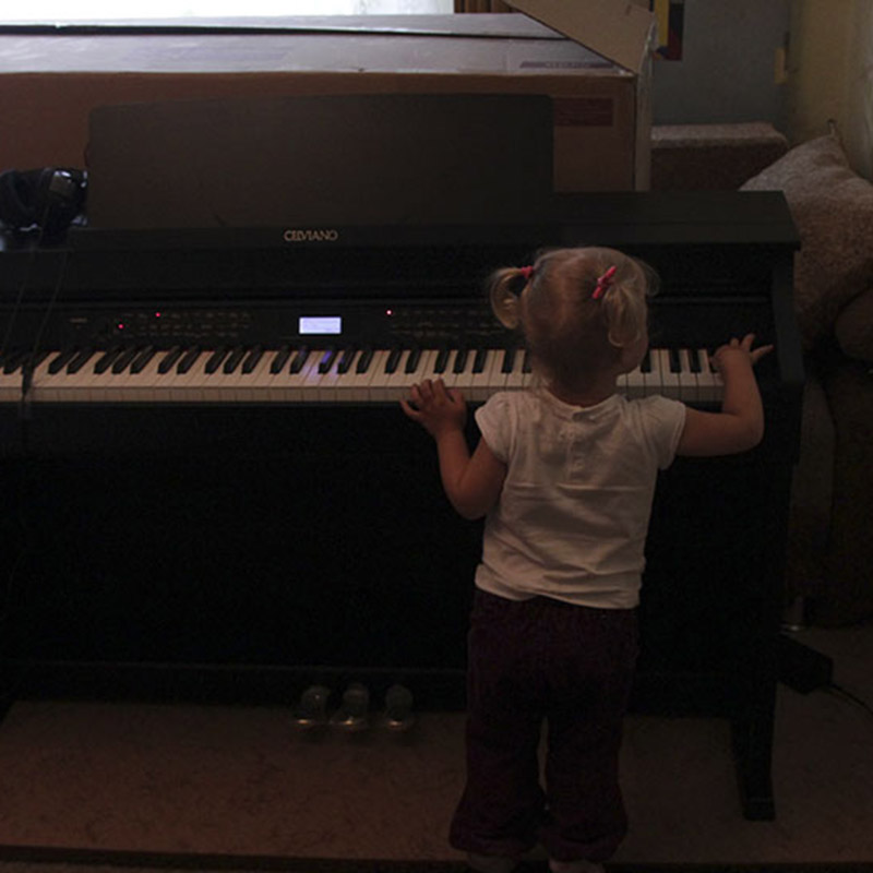 Casio AP-650