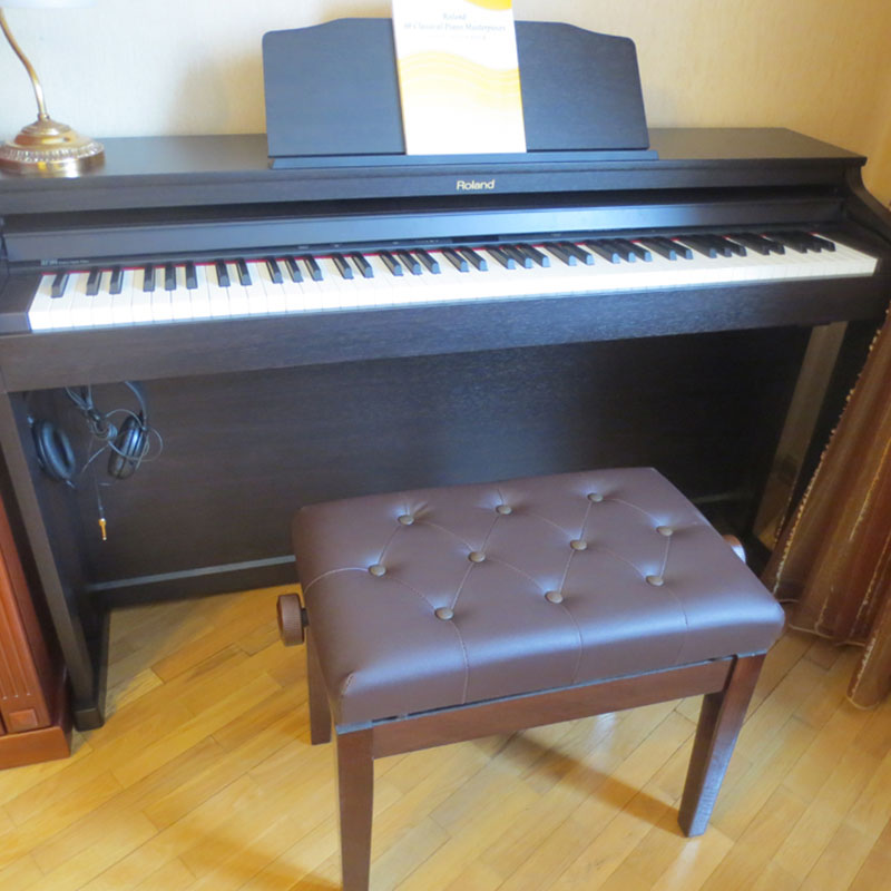 Roland HP-506