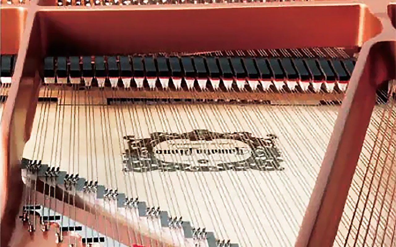 Yamahaё_C1XP_PE_3.jpg