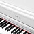 Grace CP-300 WH - белый, наушники в подарок — купить в Love-Piano