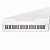 Grace CP-100 WH - белый, наушники в подарок — купить в Love-Piano