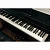 Grace CP-250 BK - черный, наушники в подарок — купить в Love-Piano