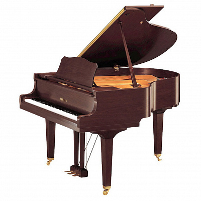 Yamaha GC2 SAW - матовый американский орех — купить в Love-Piano