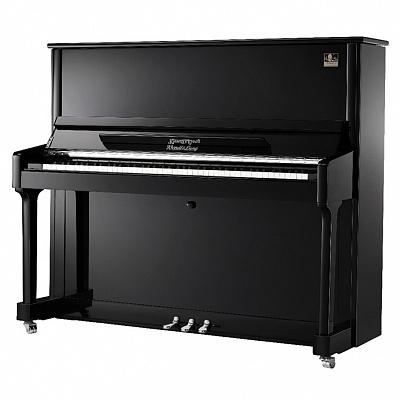 Wendl & Lung W130 BL - чёрный — купить в Love-Piano
