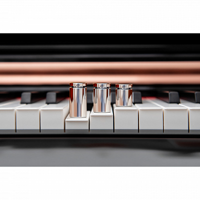 Grace CP-300 PE - чёрный полированный, наушники в подарок — купить в Love-Piano