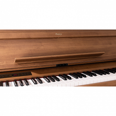 KORG Poetry M — купить в Love-Piano