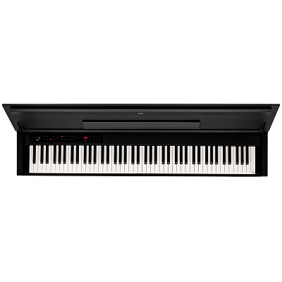 KORG E1 Air Black — купить в Love-Piano