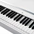 Grace CP-170 WH - белый, наушники в подарок — купить в Love-Piano