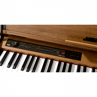 KORG Poetry M — купить в Love-Piano